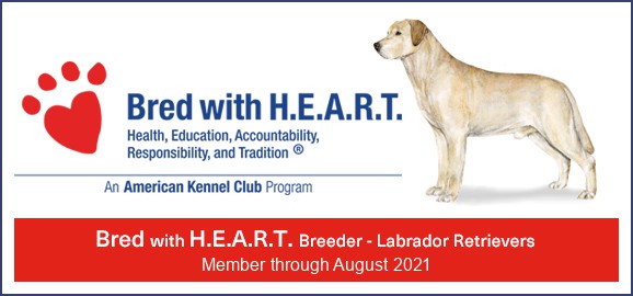 AKC Bred with heart logo sierra valley labs