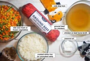 how-to-make-easy-homemade-dog-food-in-an-instant-pot-ingredients-1024x695